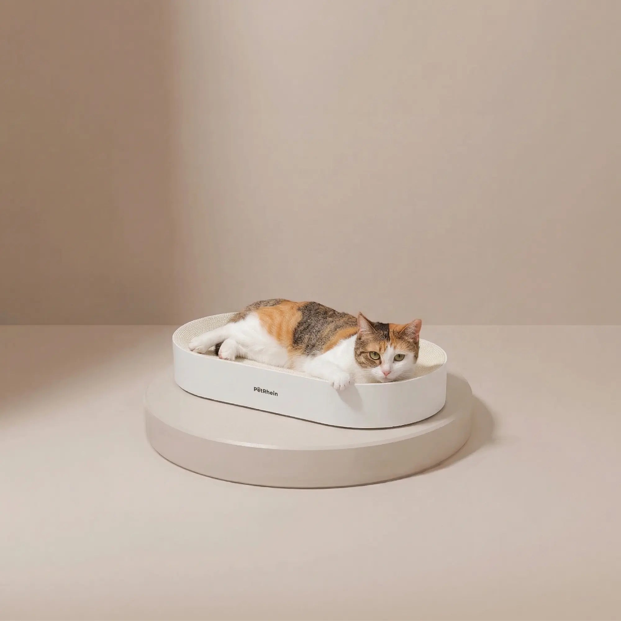 Zen Paw Griffoir en Blanc