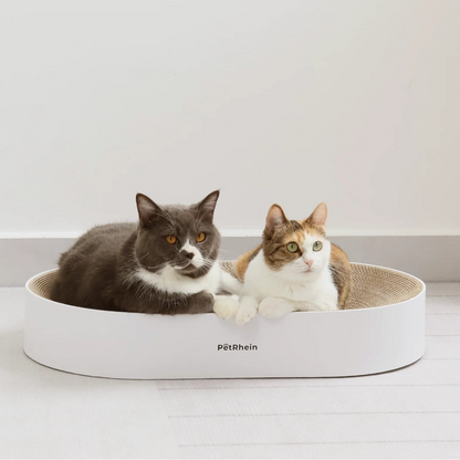 Zen Paw Griffoir en Naturel