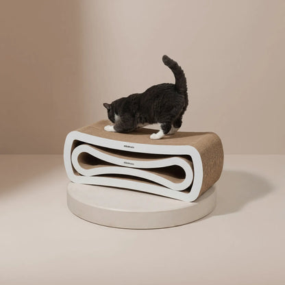 Ascent Paw Griffoir en Blanc