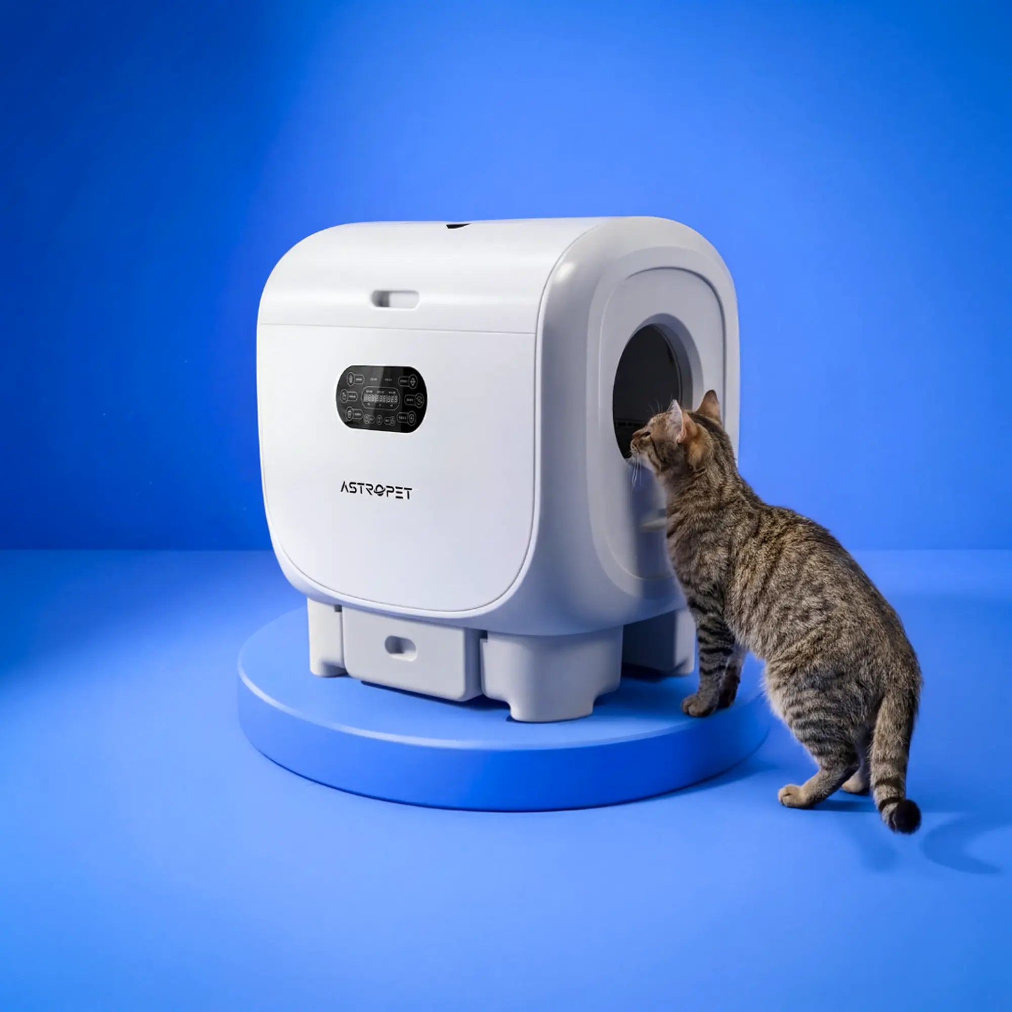 Jupiter Pro - XXL Selbstreinigende Katzentoilette