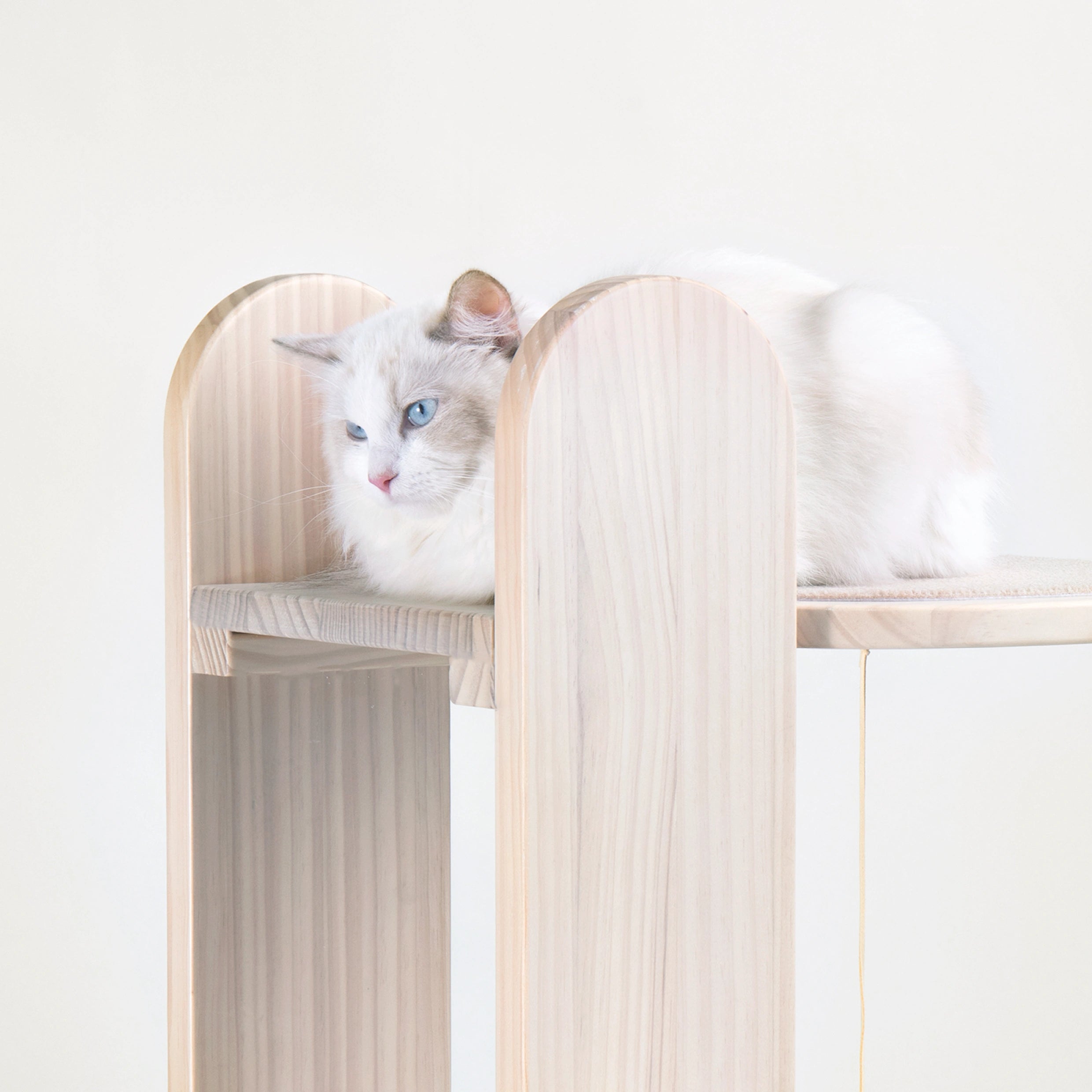 Arbre à chat Skycity