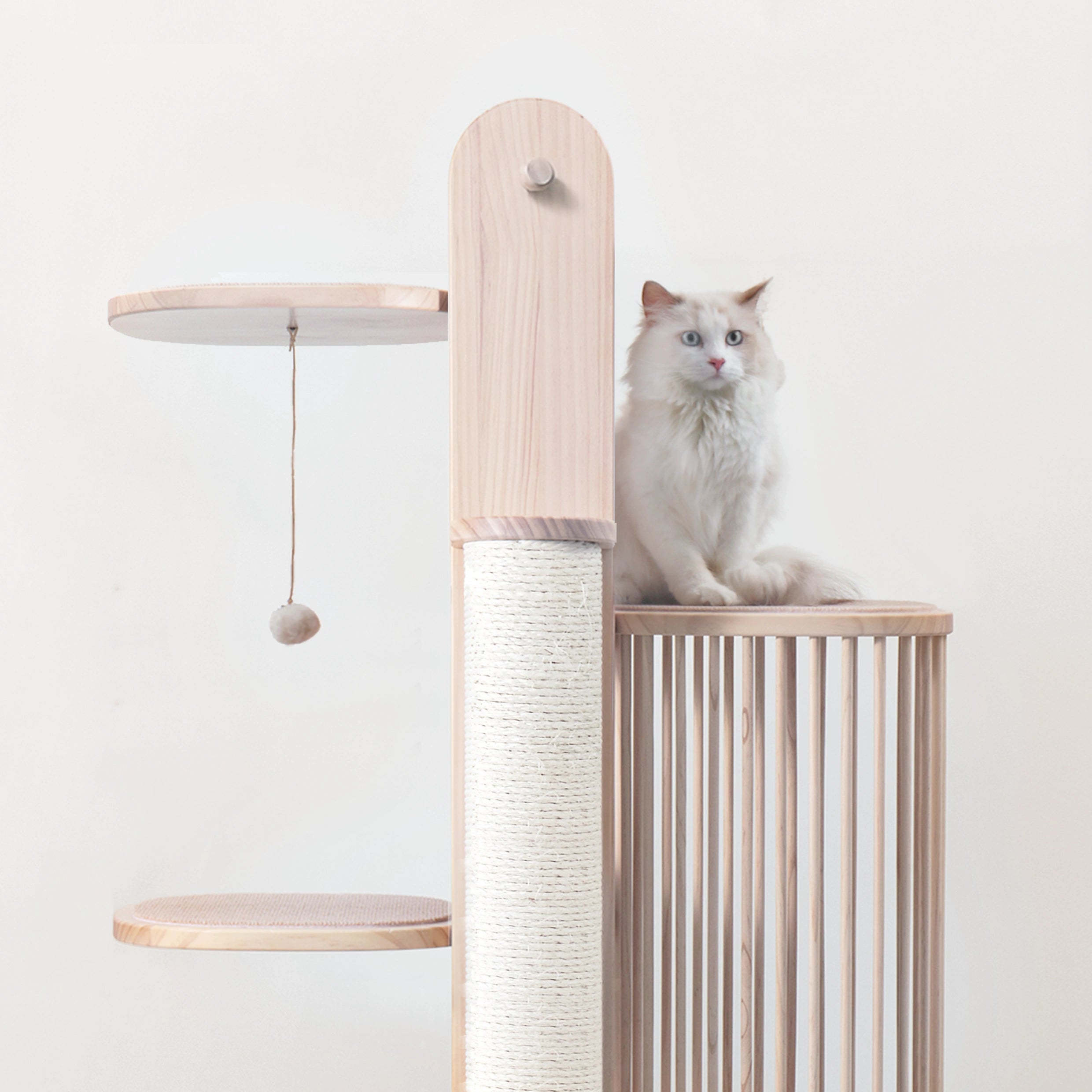 Arbre à chat Skycity