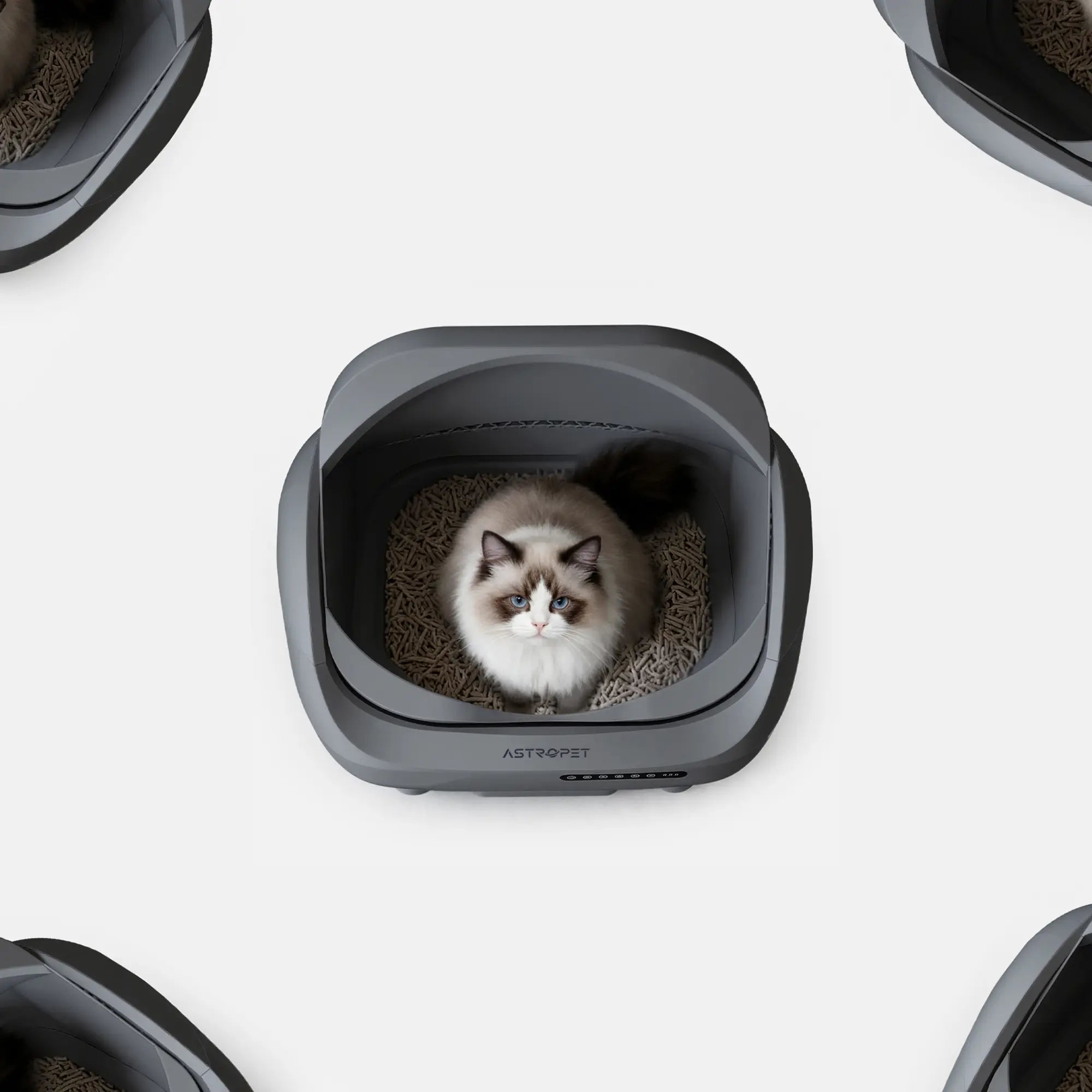 Venus - XXL Selbstreinigende Katzentoilette