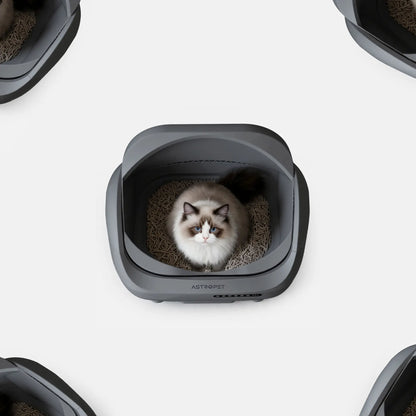 Venus - XXL Selbstreinigende Katzentoilette